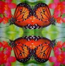 138 Schmetterlinge - 3-lagig (138) - Home Fashion - CS